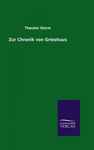 Kniha Zur Chronik von Grieshuus Theodor Storm