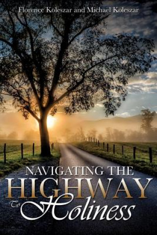 Книга Navigating The Highway To Holiness Michael Koleszar