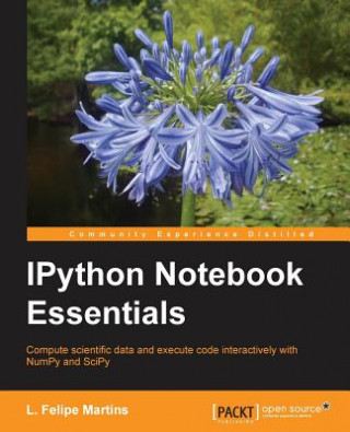 Könyv IPython Notebook Essentials Luiz Felipe Martins