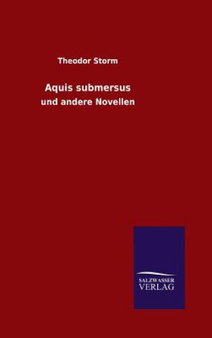 Книга Aquis submersus Theodor Storm