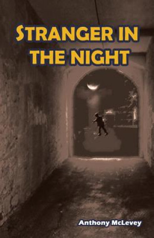 Kniha Stranger in the Night Anthony McLevey