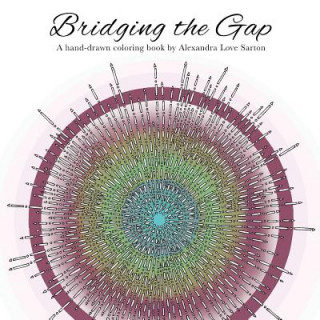 Kniha Bridging the Gap Alexandra E Sarton