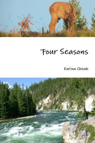 Carte Four Seasons Karina Cheah
