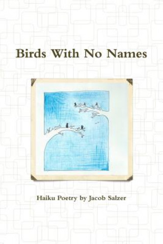 Carte Birds with No Names Jacob Salzer