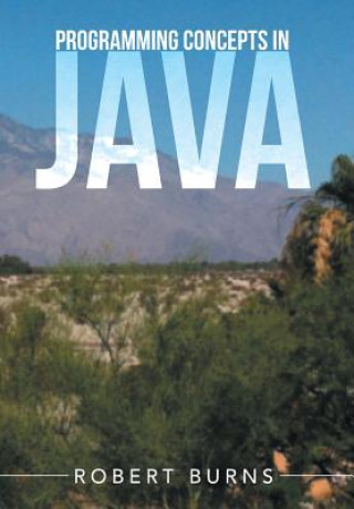 Kniha Programming Concepts In Java Burns