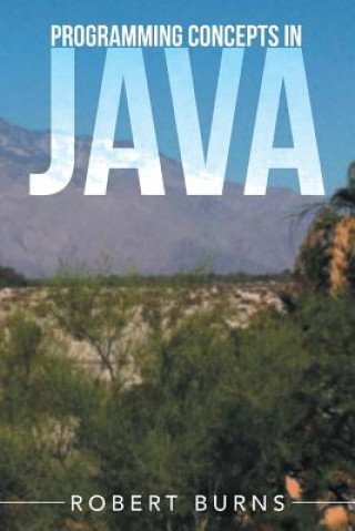 Kniha Programming Concepts In Java Robert (Goldsmith's College University of London) Burns