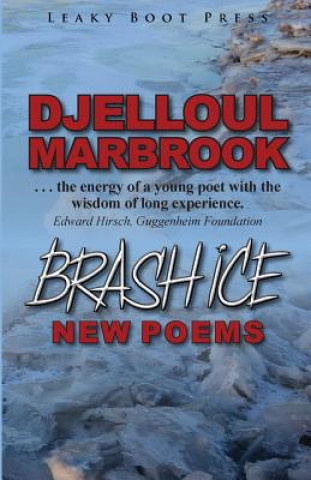 Knjiga Brash Ice Djelloul Marbrook