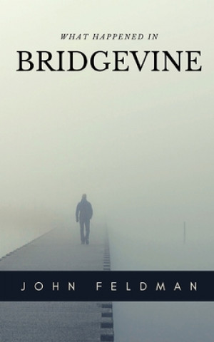 Book Bridgevine John Feldman