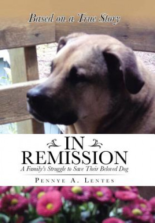 Book In Remission Pennye a Lentes