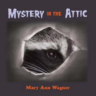 Carte Mystery in the Attic Mary Ann Wagner