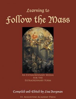 Kniha Learning to Follow the Mass Lisa Bergman
