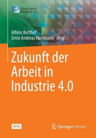 Könyv Zukunft Der Arbeit in Industrie 4.0 Alfons Botthof
