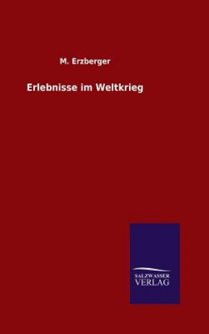 Buch Erlebnisse im Weltkrieg M Erzberger