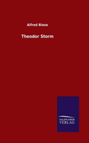 Buch Theodor Storm Alfred Biese