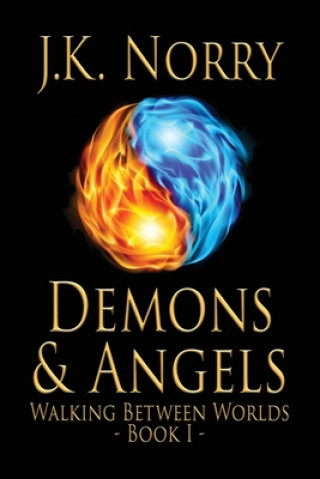 Buch Demons & Angels J K Norry