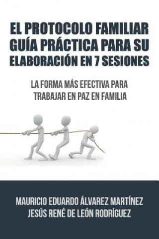 Carte Protocolo Familiar guia practica para su elaboracion en 7 sesiones Alvarez De Leon