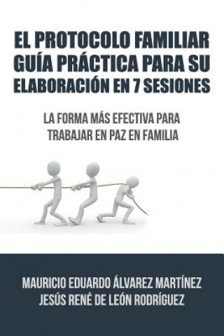 Книга Protocolo Familiar guia practica para su elaboracion en 7 sesiones Alvarez De Leon