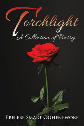 Книга Torchlight Ebelebe Smart Oghenewoke