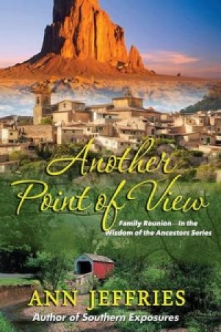 Buch Another Point of View Ann Jeffries