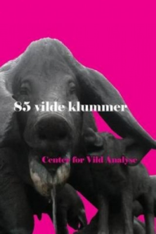 Buch 85 Vilde Klummer Center for VILD Analyse