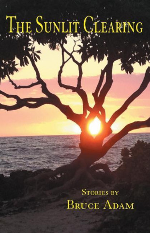 Boek Sunlit Clearing Bruce Adam