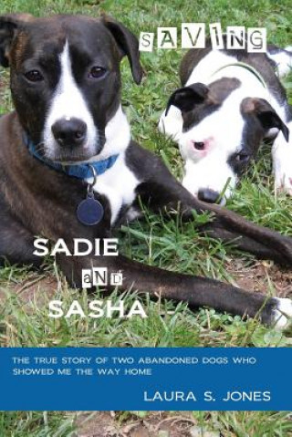 Kniha Saving Sadie and Sasha Laura S Jones