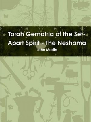 Könyv Torah Gematria of the Set-Apart Spirit - the Neshama John (Columbia University) Martin