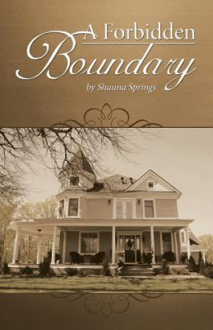 Kniha Forbidden Boundary Shauna Springs