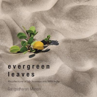 Carte Evergreen Leaves Gangadharan Menon