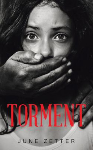 Kniha Torment June Zetter