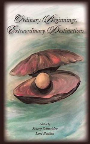 Knjiga Ordinary Beginnings, Extraordinary Destinations Stacey Schneider