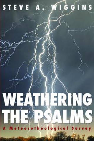 Könyv Weathering the Psalms Steve A Wiggins