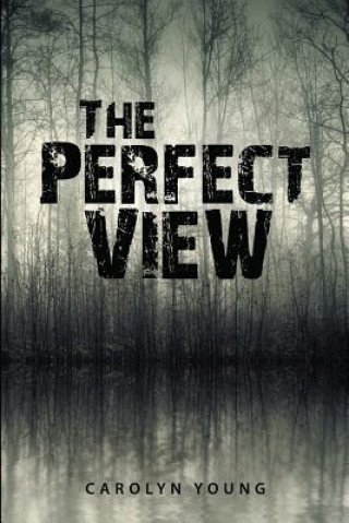 Kniha Perfect View Carolyn Young