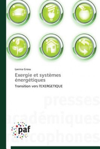 Kniha Exergie Et Systemes Energetiques Grosu Lavinia