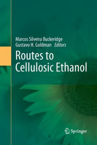 Könyv Routes to Cellulosic Ethanol Marcos Silveira Buckeridge