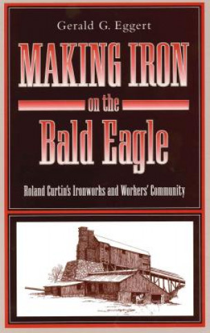 Könyv Making Iron on the Bald Eagle Gerald C. Eggert