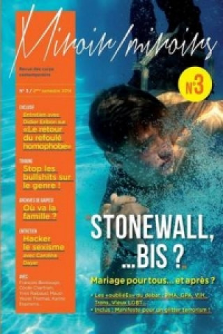 Buch Stonewall... Bis ? Les Oubliees Du "Mariage Pour Tous," Un an Apres.... Revue Miroir / Miroirs N 3 J R MY PATINIER