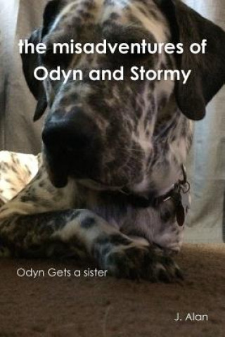 Książka Misadventures of Odyn and Stormy J. ALAN