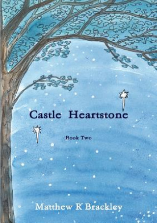 Kniha Castle Heartstone Book Two MATTHEW R BRACKLEY