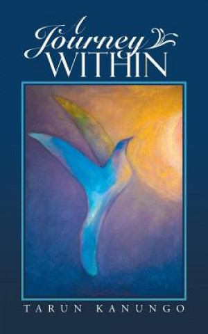 Libro Journey Within TARUN KANUNGO