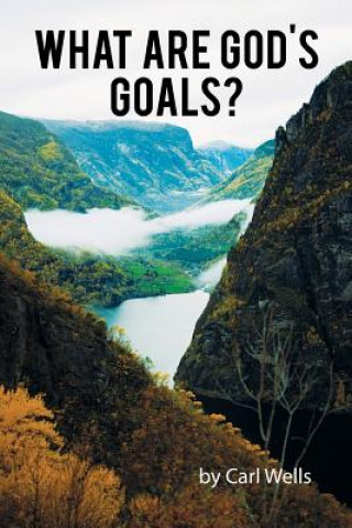 Könyv What Are God's Goals? Carl Wells