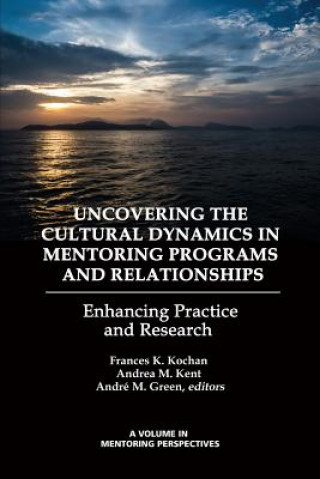 Buch Uncovering the Cultural Dynamics in Mentoring Programs and Relationships André M. Green