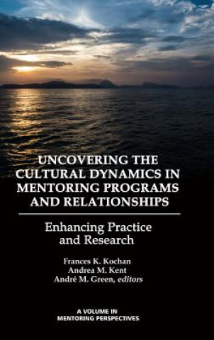 Buch Uncovering the Cultural Dynamics in Mentoring Programs and Relationships André M. Green