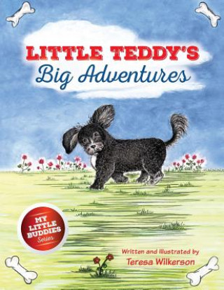 Book Little Teddy's Big Adventures TERESA WILKERSON