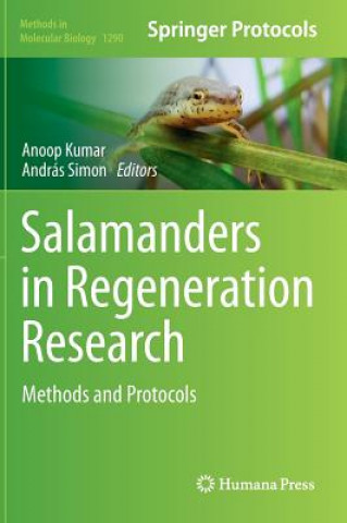 Könyv Salamanders in Regeneration Research Anoop Kumar