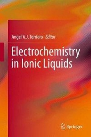 Kniha Electrochemistry in Ionic Liquids Angel A. J. Torriero
