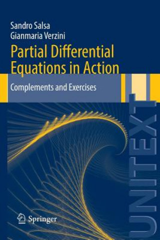 Kniha Partial Differential Equations in Action Sandro Salsa