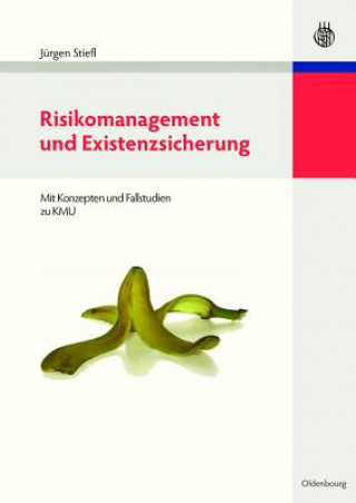 Book Risikomanagement Und Existenzsicherung Jurgen Stiefl