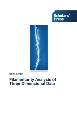 Książka Filamentarity Analysis of Three-Dimensional Data Efraty Boris