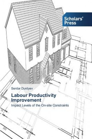 Книга Labour Productivity Improvement Durdyev Serdar